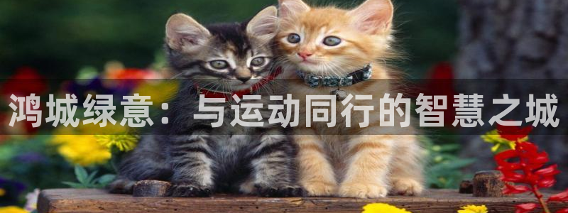 哈哈体育下载