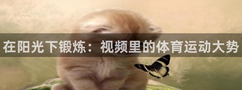 哈哈体育下载：在阳光下锻炼：视频里的体育运动大势