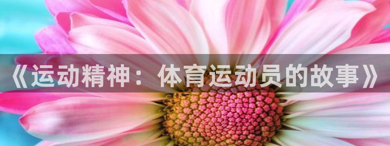 哈哈体育十年：《运动精神：体育运动员的故事》