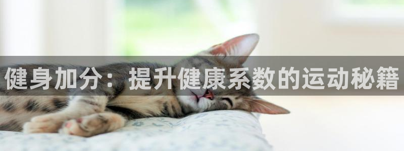 哈哈体育：健身加分：提升健康系数的运动秘籍