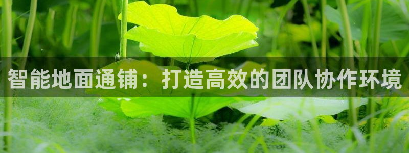 哈哈体育十年：智能地面通铺：打造高效的团队协作环境